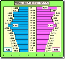 人口ピラミッド２０２５年