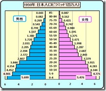 人口ピラミッド１９５０