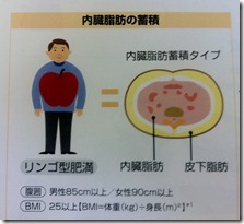 内臓脂肪1