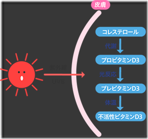 article05-figure01